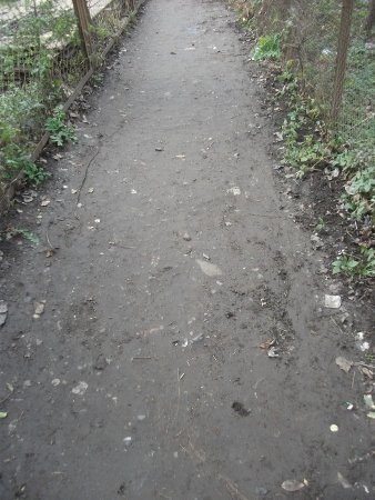 Лучани не дочекалися комунальників і самі прибрали провулок. ФОТО