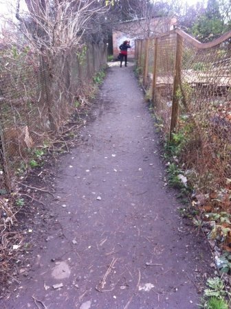 Лучани не дочекалися комунальників і самі прибрали провулок. ФОТО