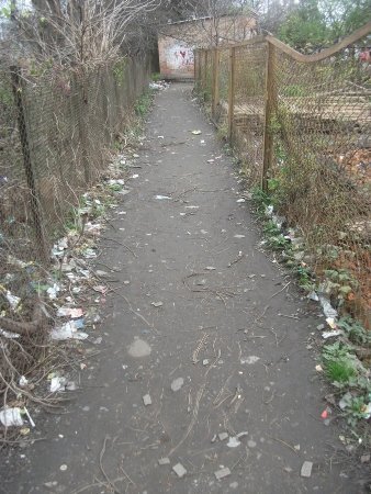 Лучани не дочекалися комунальників і самі прибрали провулок. ФОТО