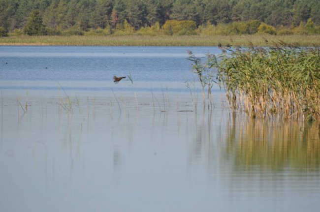 Краса Пісочного озера на знімках місцевого фотографа