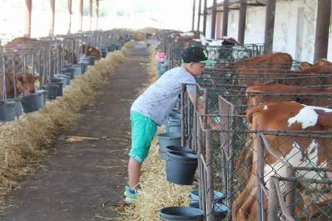 Як діти з Ковеля відпочивали на Донеччині. ФОТО