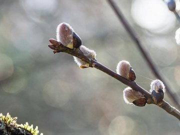 Погода на завтра, 19 травня, у Луцьку та Волинській області