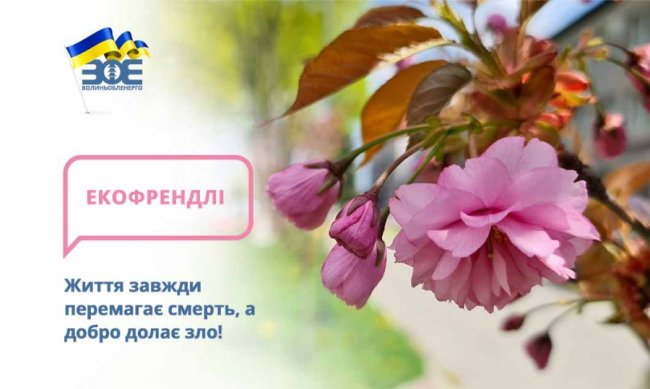 Де у Луцьку сфотографуватися у сакурах. ЛОКАЦІЇ