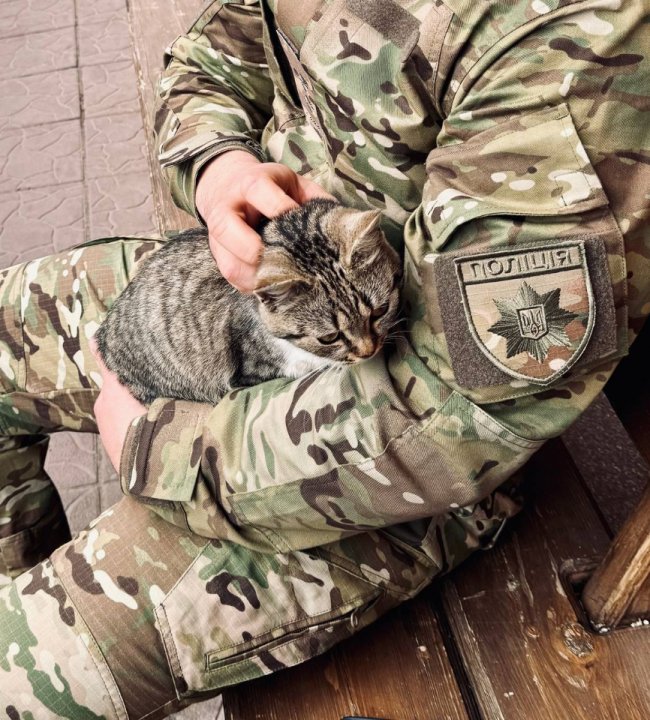 Пухнасті побратими. Чотирилапі підопічні волинських добровольців на фронті