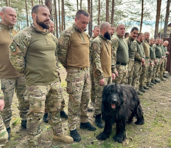 Пухнасті побратими. Чотирилапі підопічні волинських добровольців на фронті
