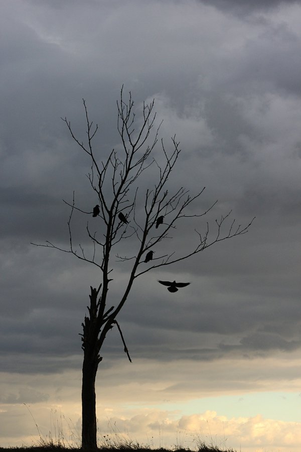 Вересень 2013