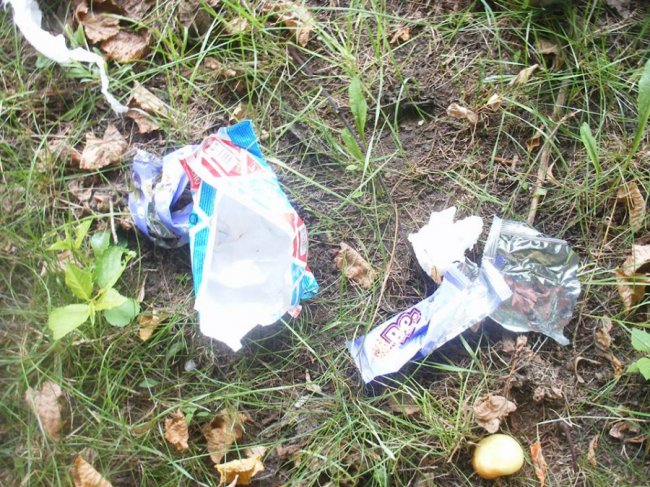 У Ковелі газон закидали сміттям і підгузками. ФОТО