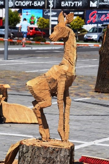 У Луцьку на місцях зрізаних дерев хочуть робити скульптури