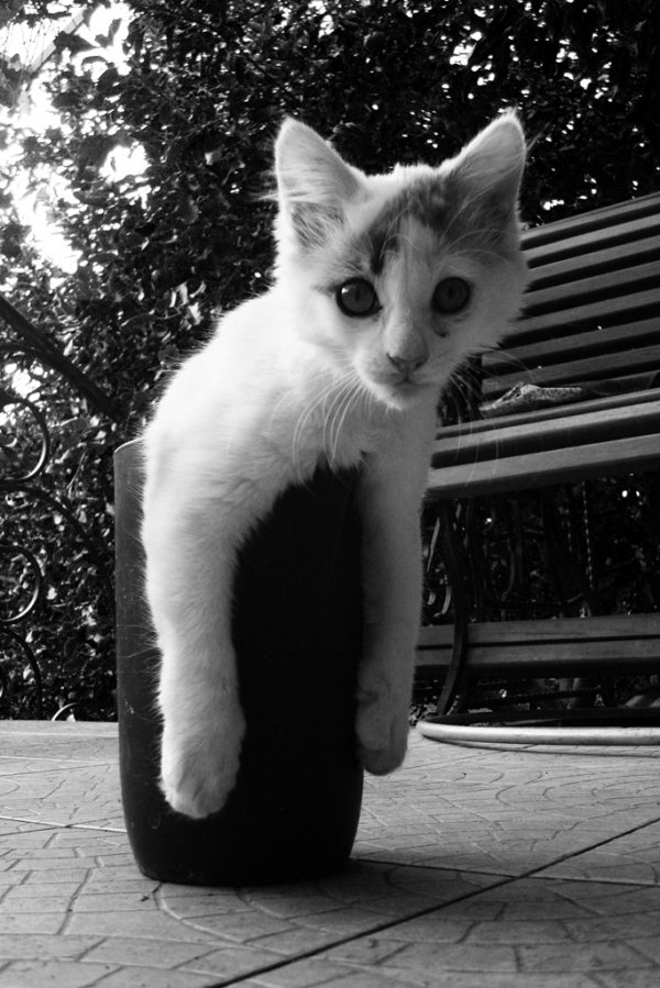 Фотовиставка Валентини Жуги