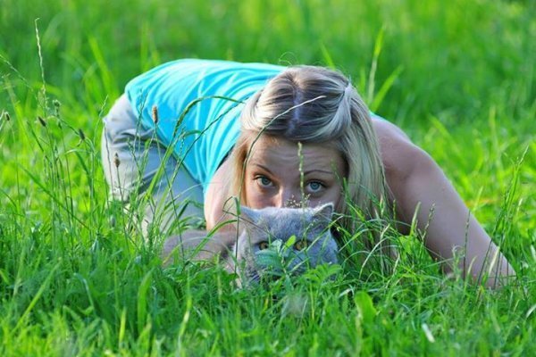 Кіт луцького фотографа «завів» сторінку в Facebook