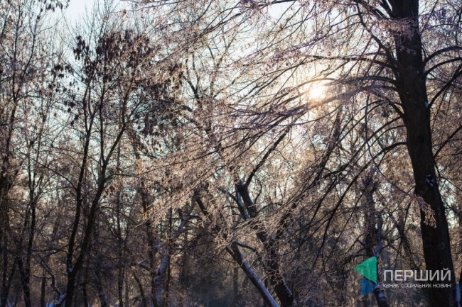 Мерехтливий сніг і кришталевий іній: Луцьк опинився у морозному полоні. ФОТО