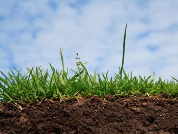 Волинській громаді передали землю вартістю 100 тисяч