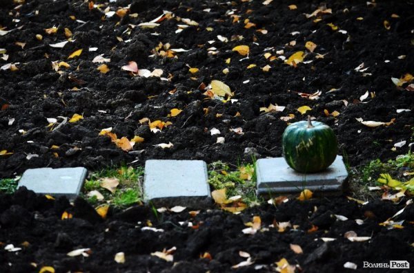 Фотопогляд: проспект Перемоги