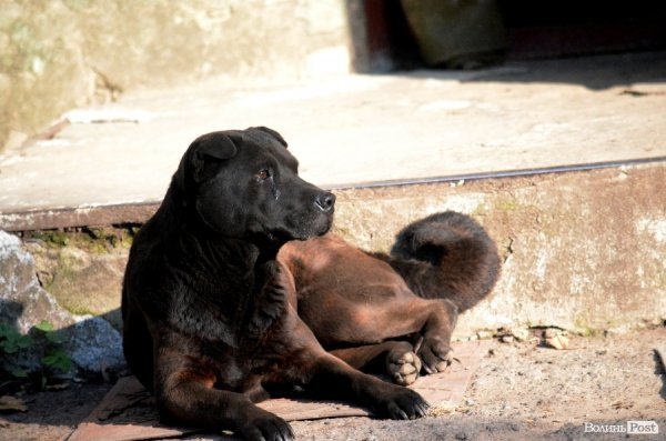 Фотопогляд: проспект Перемоги