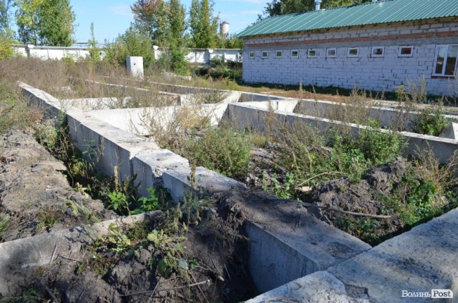 Показали умови, у яких живуть тварини в луцькій «Ласці». ФОТО