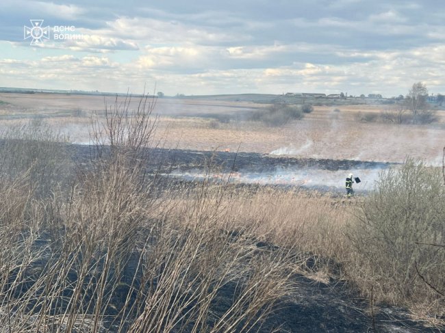 На Волині горіли дві споруди і понад 5 га сухої трави та очерету. ФОТО