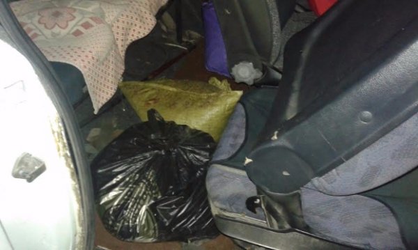 На Волині вилучили близько п'ятдесяти кілограмів бурштину. ФОТО