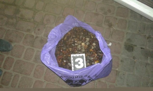 На Волині вилучили близько п'ятдесяти кілограмів бурштину. ФОТО