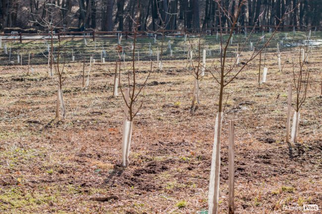 Учні першого на Волині міського шкільного лісництва побували у «волинській Швейцарії». ФОТО