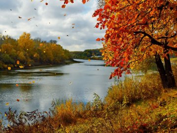 29 жовтня  – яке сьогодні свято: традиції, заборони і прикмети
