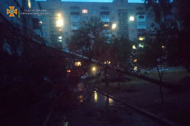 На Волині вночі негода повалила дерева на автівки та будинки. ФОТО