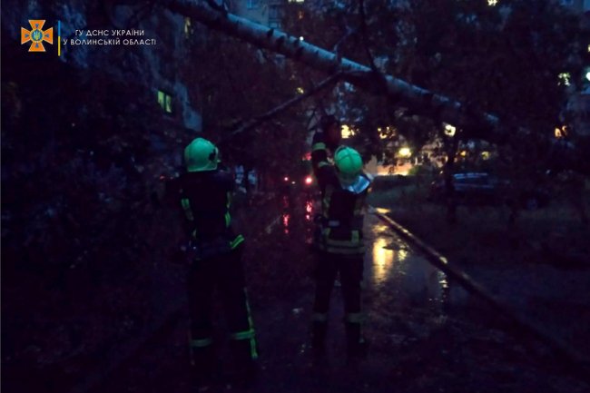 На Волині вночі негода повалила дерева на автівки та будинки. ФОТО