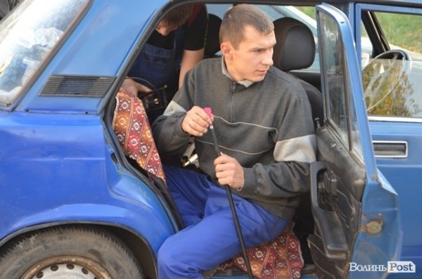 Як у Луцьку ловлять бродячих собак. ФОТО