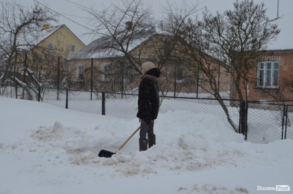 Як Луцьк замело снігом. ФОТО