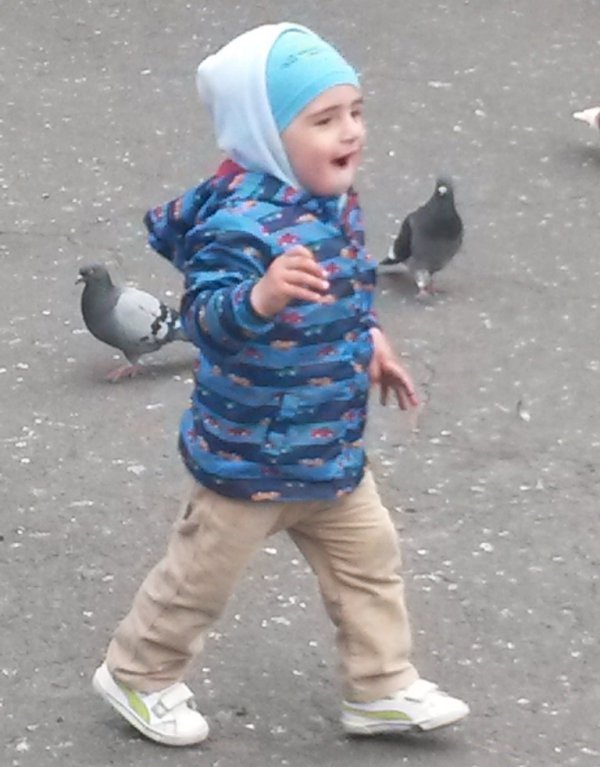 Викрадення дитини на Волині замовив її біологічний батько-іноземець. ФОТО. ВІДЕО