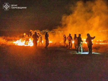 Через пожежу сухостою мало не згоріло село під Харковом