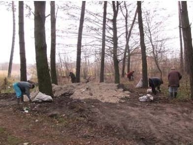 Екологічна толока в Ківерцях. ФОТО