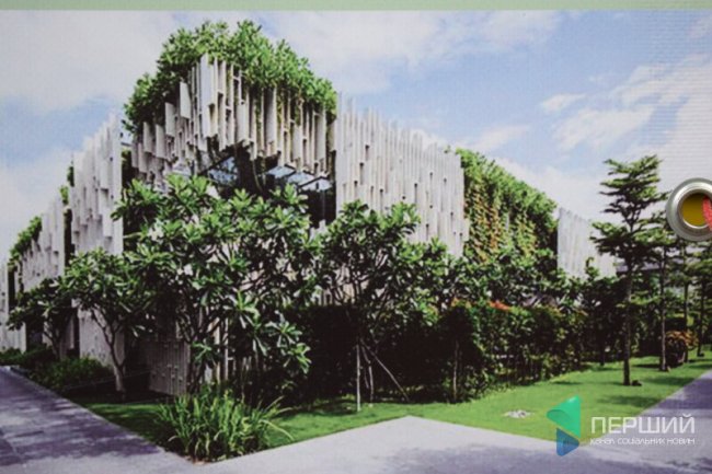 Як планують облаштувати територію Старого ринку у Луцьку. ПРОЄКТ