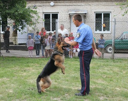 Школярів Луцька познайомили з чотирилапими «міліціонерами»