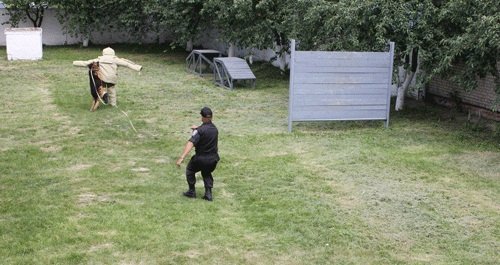 Школярів Луцька познайомили з чотирилапими «міліціонерами»