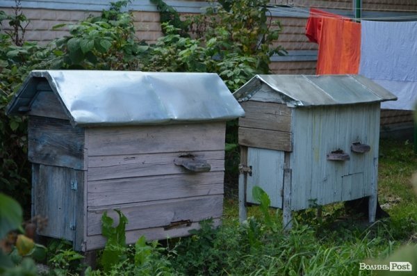 На території храму є навіть своя пасіка 