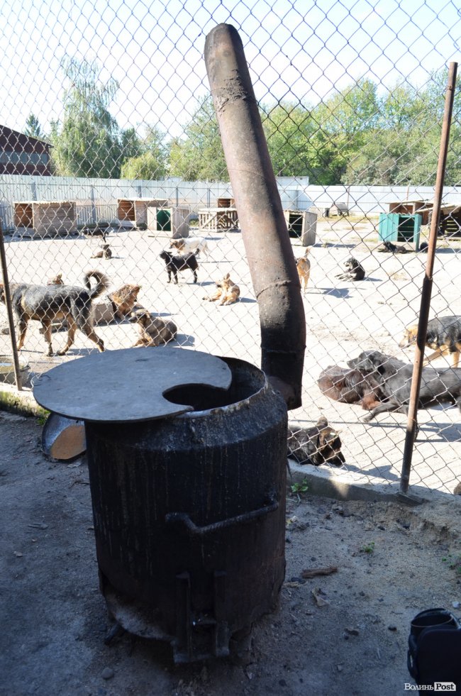 Показали умови, у яких живуть тварини в луцькій «Ласці». ФОТО