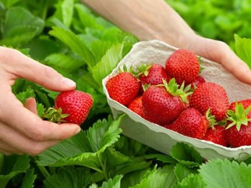 Яку роботу в Польщі пропонують для жінок та чоловіків*