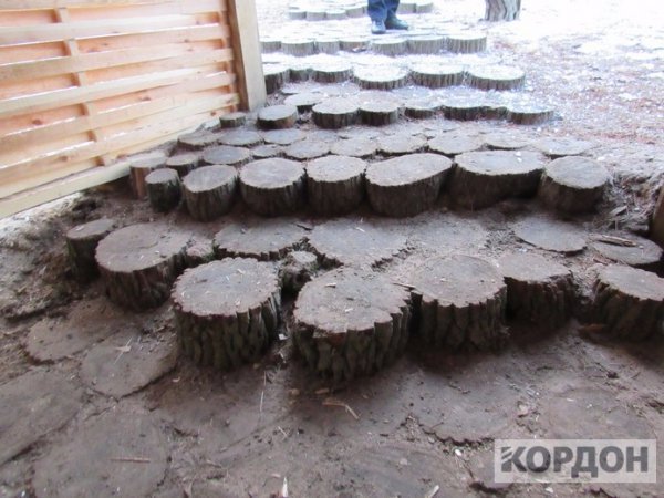 Показали, як на Волині виглядає сучасний будинок для лісника