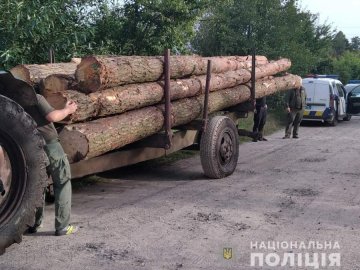 У селі на Волині поліцейські зловили чоловіка, який погрузив на трактор крадені сосни