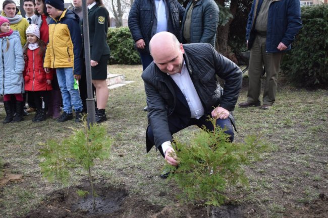 Кожне дерево – як символ Героя: на честь загиблих  волинян висадили алею. ФОТО
