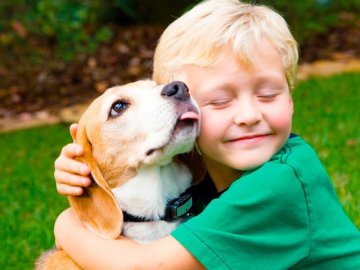 Гіпоалергенних тварин не буває, – луцька лікарка розповіла, чи варто заводити домашніх улюбленців