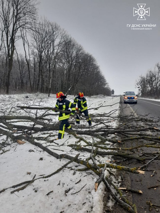 На дорогу Устилуг-Луцьк-Рівне впало дерево: викликали рятувальників