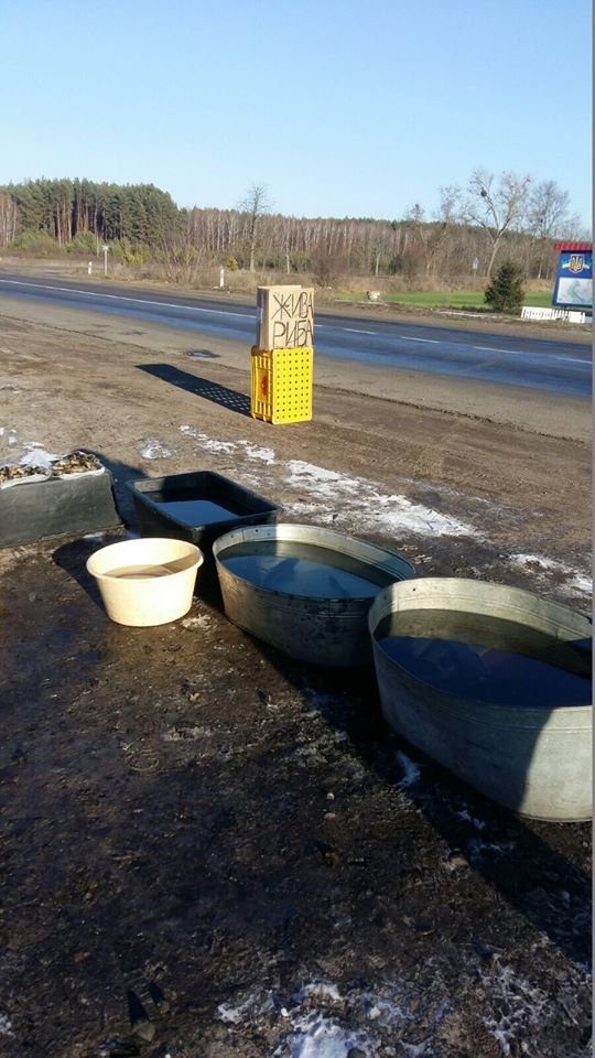 Волинянин посеред траси продавав «незаконну» рибу