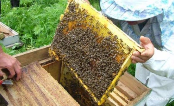 Україна надзвичайна: неймовірні факти про країну. ФОТО