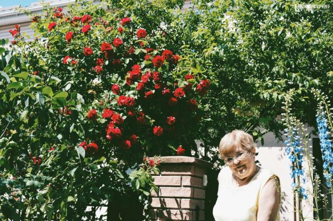 Подружжя з Луцька щороку висаджує квіти у «CITY PARK». ФОТО