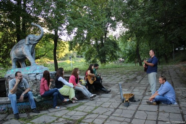 Як прибирали біля луцького слоника. ФОТО