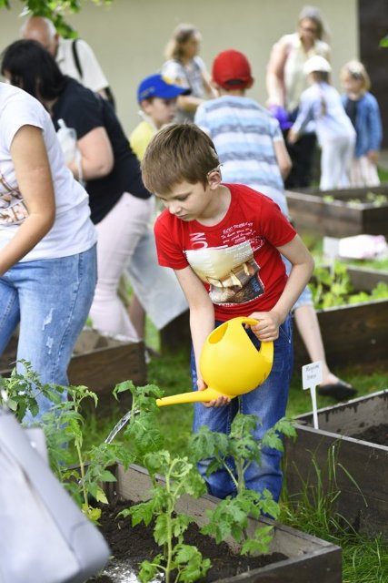 Як у луцькому зоопарку особливі дітки город садили. ФОТО