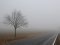 Синоптики попереджають про туман на дорогах