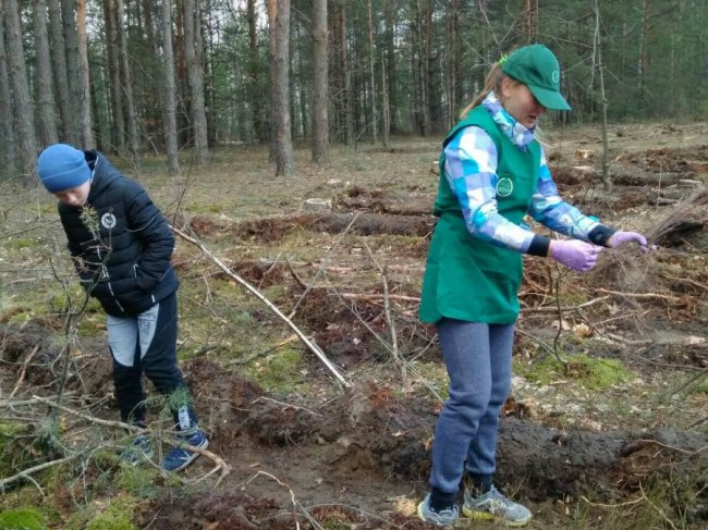 Волинські школярі висадили майже гектар лісу. ФОТО