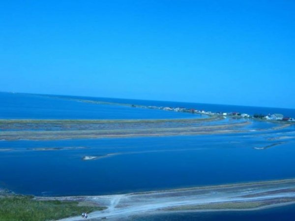 Одеська область, смт. Курортне Будацька коса між Шаболатським лиманом і Чорним морем 1 серпня 2010 р.  Автор - Ксенія Ємельянова